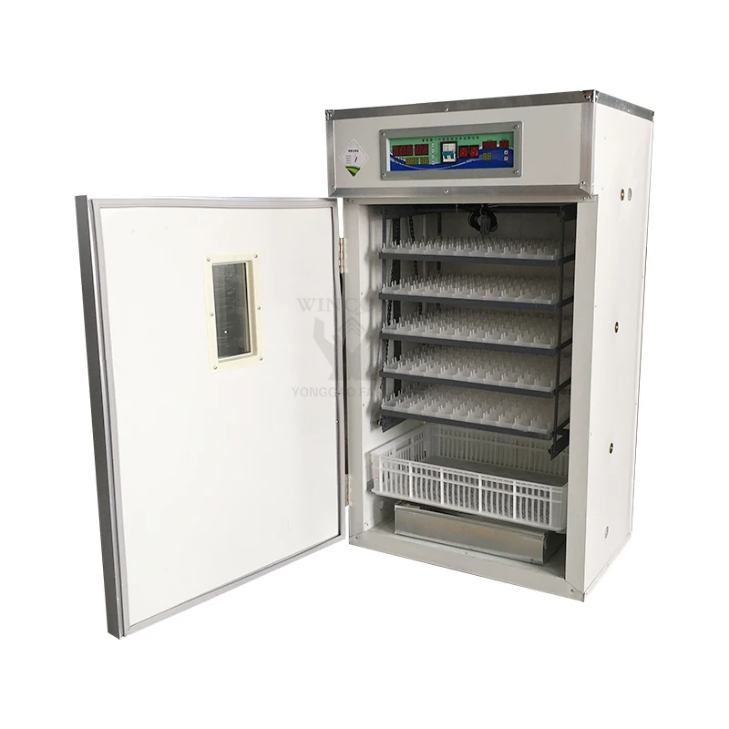 Инкубатор ифх. Инкубатор для бройлеров. Инкубатор для бройлеров. Птицефабрика донецкая ростовская. Инкубация яиц в инкубаторе.