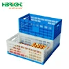 factory price strong plastic foldable egg transport crate
