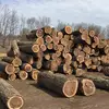 Black Walnut timber for furniture