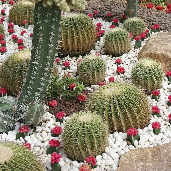 snow white deco 3.jpg