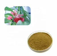 

Hot Sales Sojat Henna Extract Powder for Hair Care