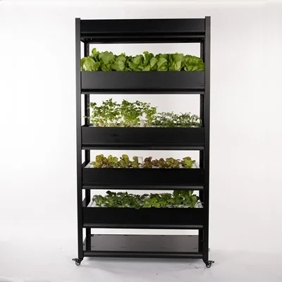 Skyplant Home Hydroponic Growing Systems Garden container farm hydroponics