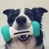 Funny Christmas electronic pet toy for dog/cat which remote control by Application