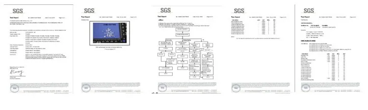 SGS