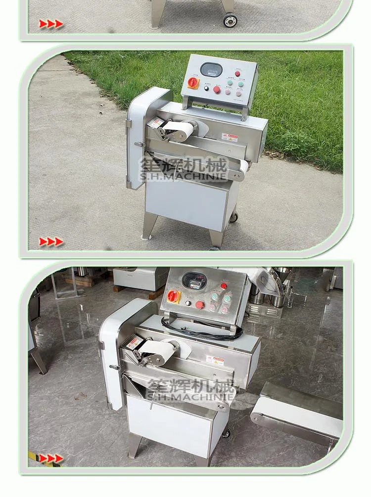 Frozen Lake Teal Dicer Dicing Machine Tenderloin Spare Rib Pork Chops