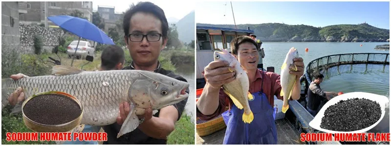 Fish Manure Fertilizer.jpg