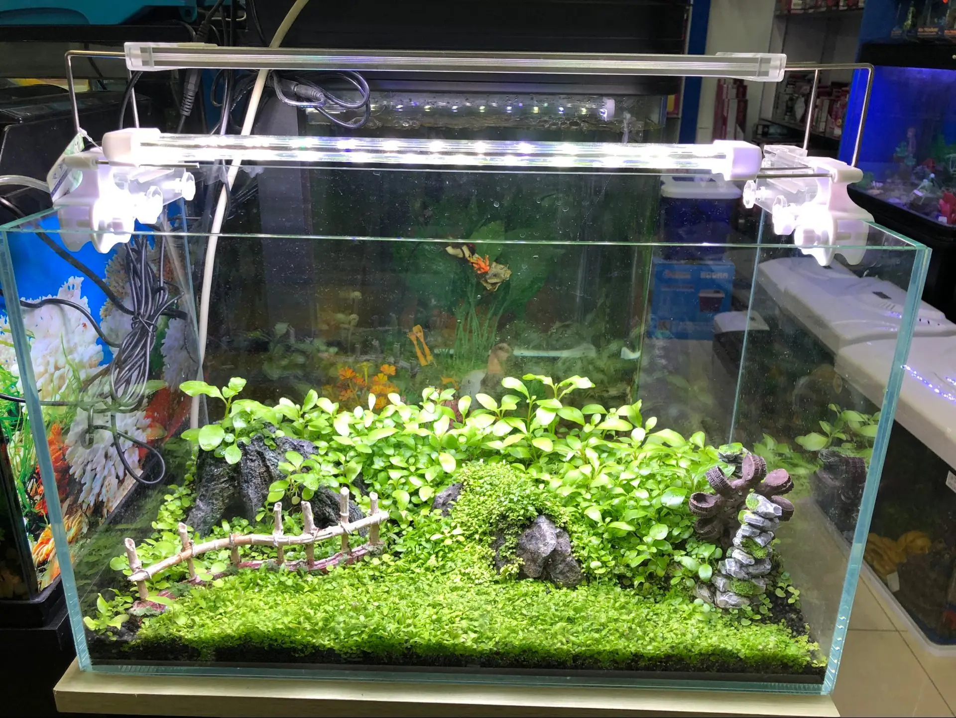 Aquarium Grass Grow Led Lamp Plant Lights For Indoor Plants Buy Plant