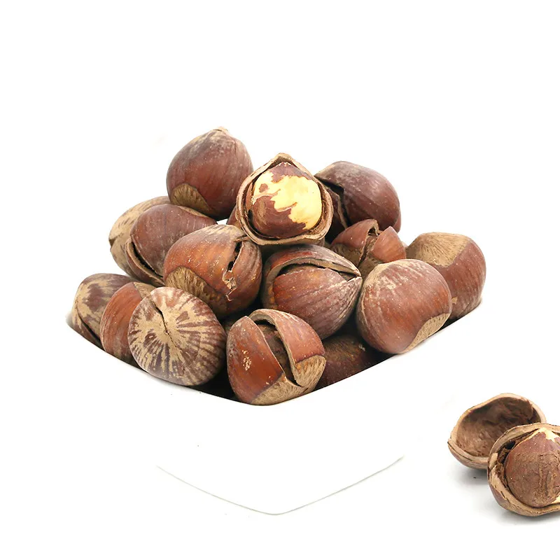 100 Organic Shell Raw Hazelnut Raw Hazelnut Kernels In Shell Buy Raw Hazelnut Hazelnut Kernels In Shell Organic Hazelnut Product On Alibaba Com