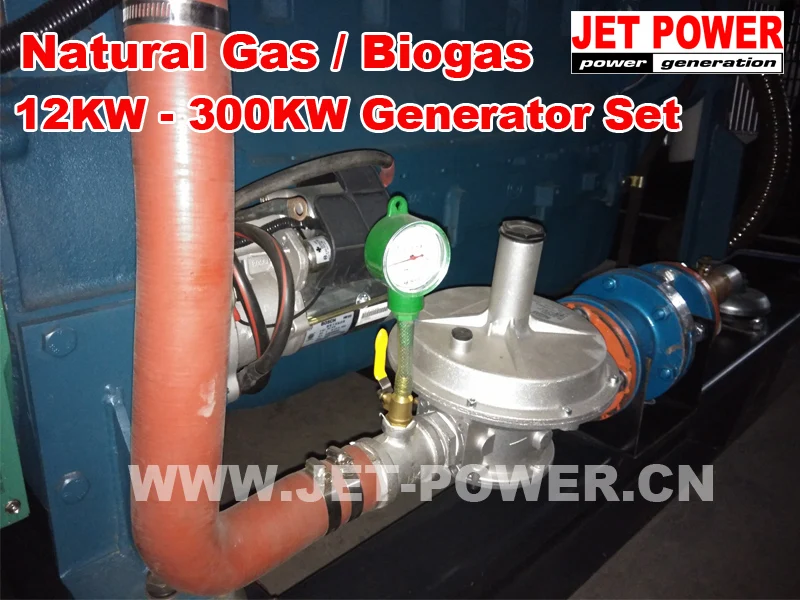 Natural Gas  Biogas Generator Set 12KW to 300KW -008.jpg