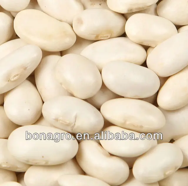 LIMA BEANS-2