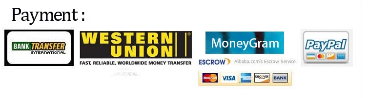 Women's Flamenco Waltz Long Sleeve Stage Dance Dress