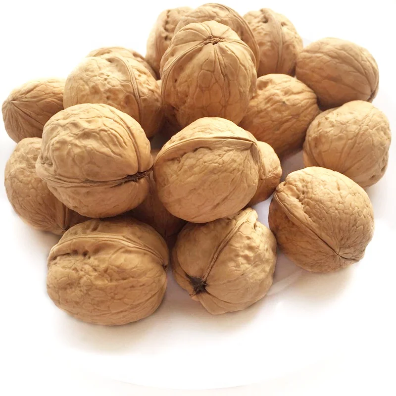 
bulk sell california walnuts xinjiang in shell 