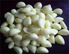 /product-detail/fresh-white-garlic-exporter-in-china-60585300797.html