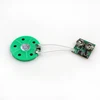 2018 New digital voice recorder module Sound Chip Customized