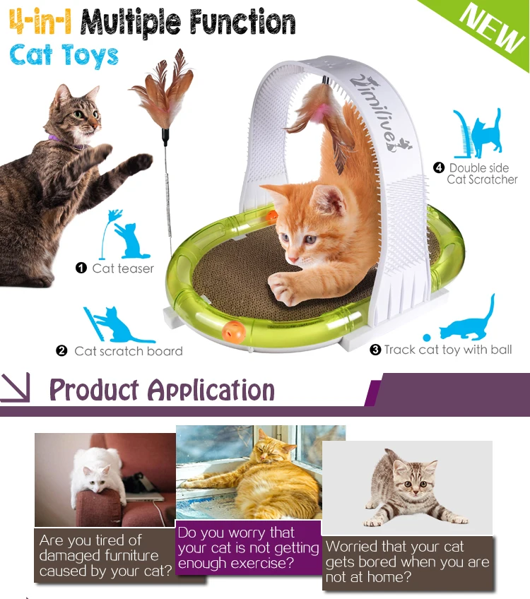 cat circuit toy