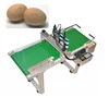 good quality food grade egg expiry date printer,egg coding machine, egg inkjet coding machine