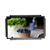 Digital 32 inch Open Frame Monitor With IPS Screen