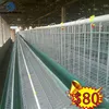 Multifunctional hot sales uganda poultry farm automatic chicken layer cage with CE certificate