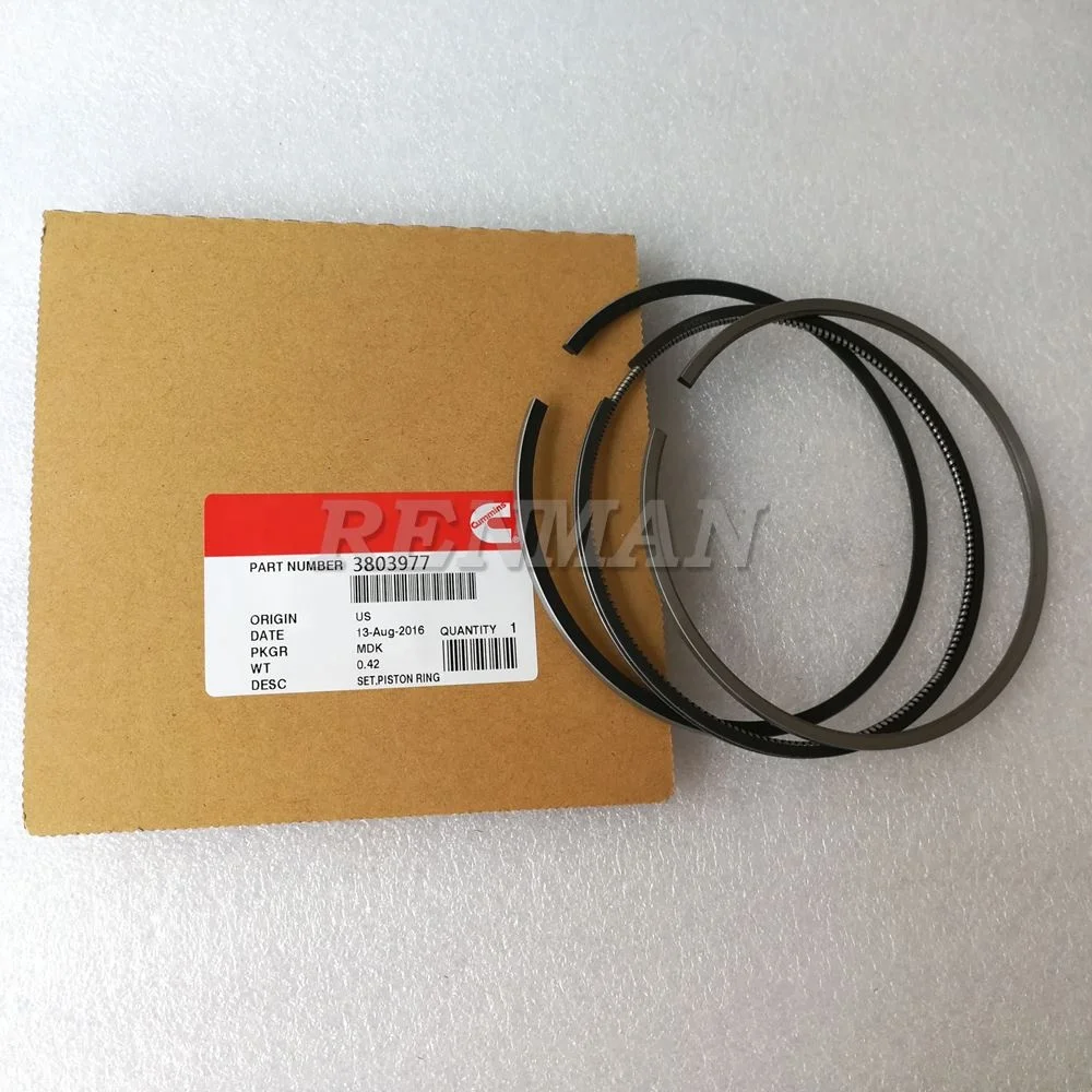 Cummins M11 Engines Piston Ring Set 3803977 3102367 3899413 3893752