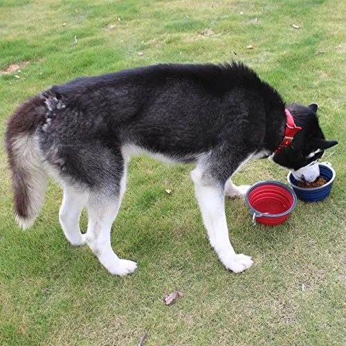 Collapsible Dog Bowl Pet Travel Bowl for Dog Cat Foog Water Easy Foldable Expandable Cup Feeder for Hiking Camping Travelling