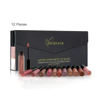 

wholesale 12 colors Fashional private label Waterproof matte glitter liquid lipgloss lipstick set