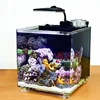 new style betta fish display case small acrylic tank aquarium