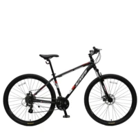 

Trendy mountain bike 29" for sale