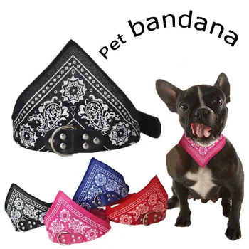 friendly dog bandana
