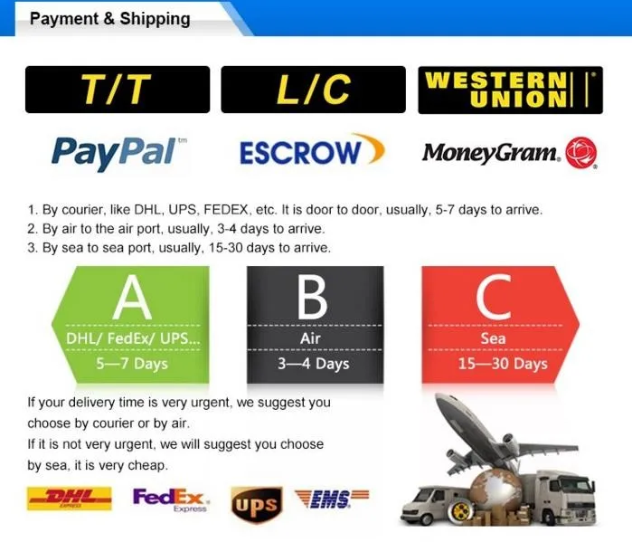 payment &shipping