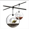 North american style hanging glass bird feeder for outdoor garden decoration