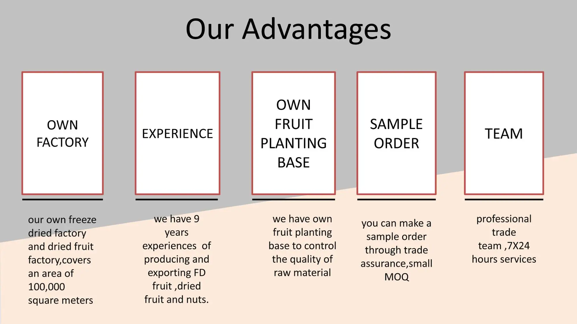 fat free dried fruit chips snacks peach crisps healthy for kids