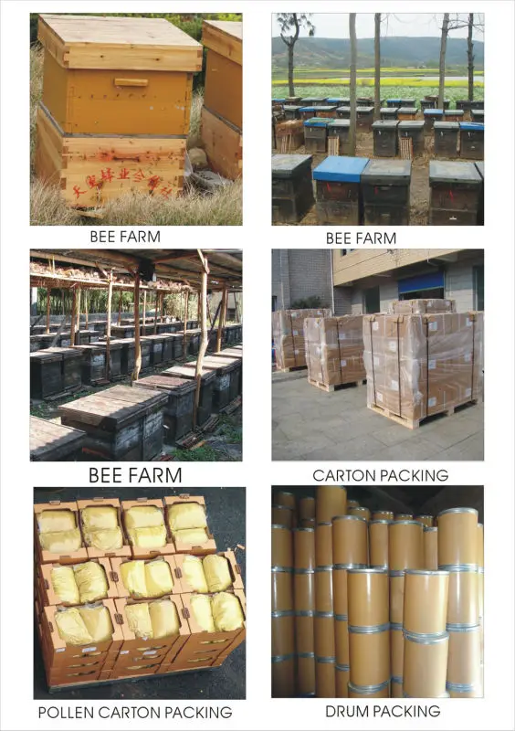 Handmade Beeswax Candle Buy Natural Beeswax Candles,Handmade