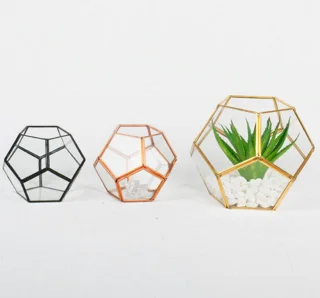 Miniature Desktop Garden Succulents Pot Semi Sphere Copper Geometric Glass Terrarium Rose Gold