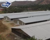 China low cost steel frame poultry farm design layout shed with farming chicken equipment