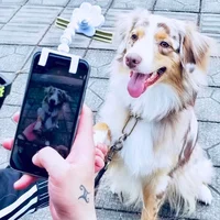 

Hot Sale Amazon Aliexpress Pet Dog Selfie Stick