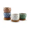 Ceramic Pineapple succulent planter Cactus Planter Pot Set maceta bonsai pots
