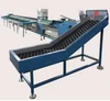 Fruit & Vegetable Sorting Machine
