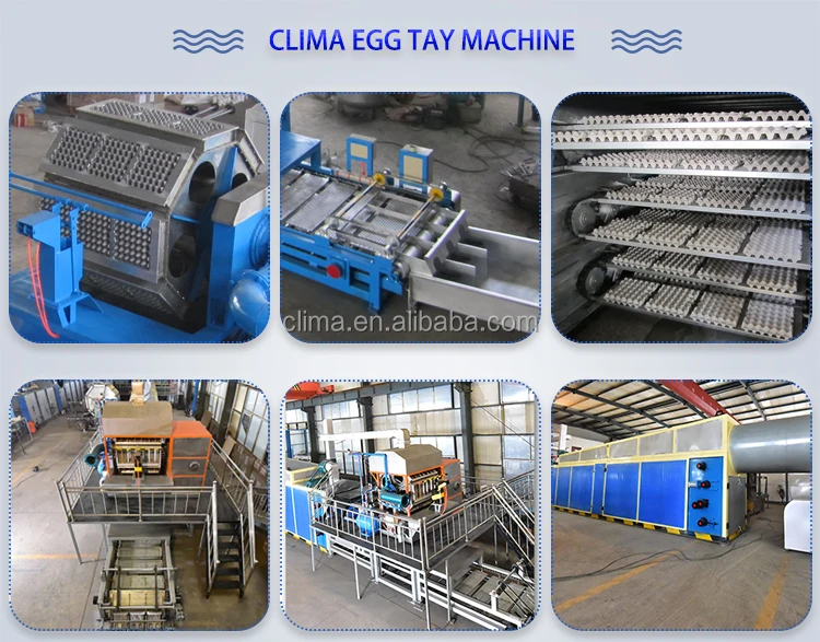 clima making s automatic egg tray machine