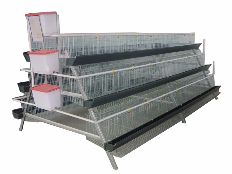 Hen Cage For Sale In Trivandrum Thrissur Kottayam Buy Hen Cage For