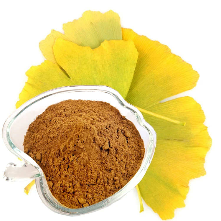 烂秧现象供应银杏叶提取物 24 6