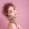 Superior seamless Multi color photo photography studio backdrop background/ photo studio backgrounds indoors