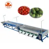 Vegetable Sorting Machine/onion Sorting Machine/olive Sorting Machine For Sale