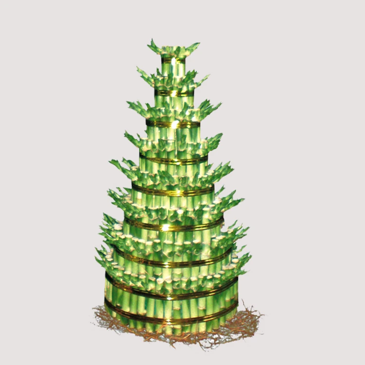 
factory natural plants dracaena sanderiana lucky bamboo 
