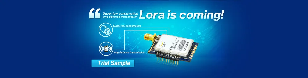 Lora long. Lora long