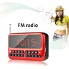 Exquisite Digital Clock & Digital Radio with speaker