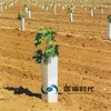 PP Corrugated Plastic Tree Tube /Tree Guard