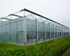 Complete huge scale glass Greenhouse project builder with complete hydroponics project for tomato and strawberry and vegetable