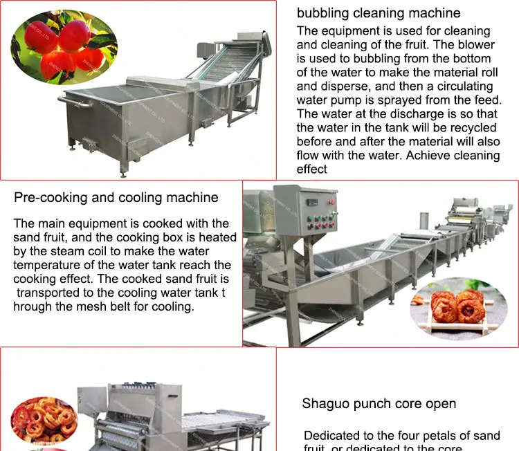 Fully Automatic Crab Apple Peeling,Poking And Slicer Drying Machine