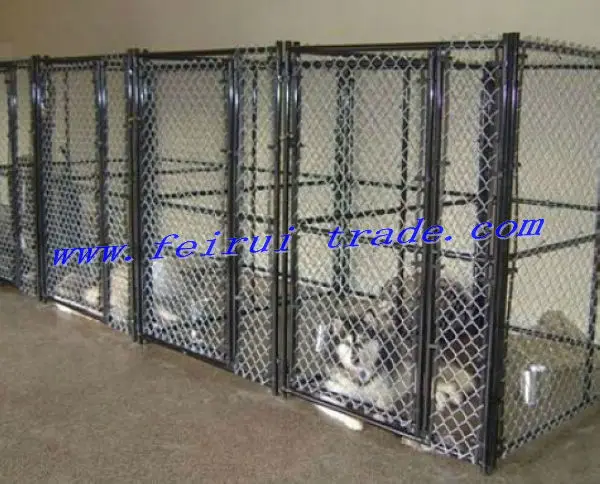 chain link fence as kennel.jpg