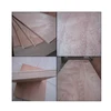 Packing Plywood with Poplar / Harwood Core & Bintangor / Okoume / Pine Surface veneer & WBP /MR Glue for making boxes / pallet